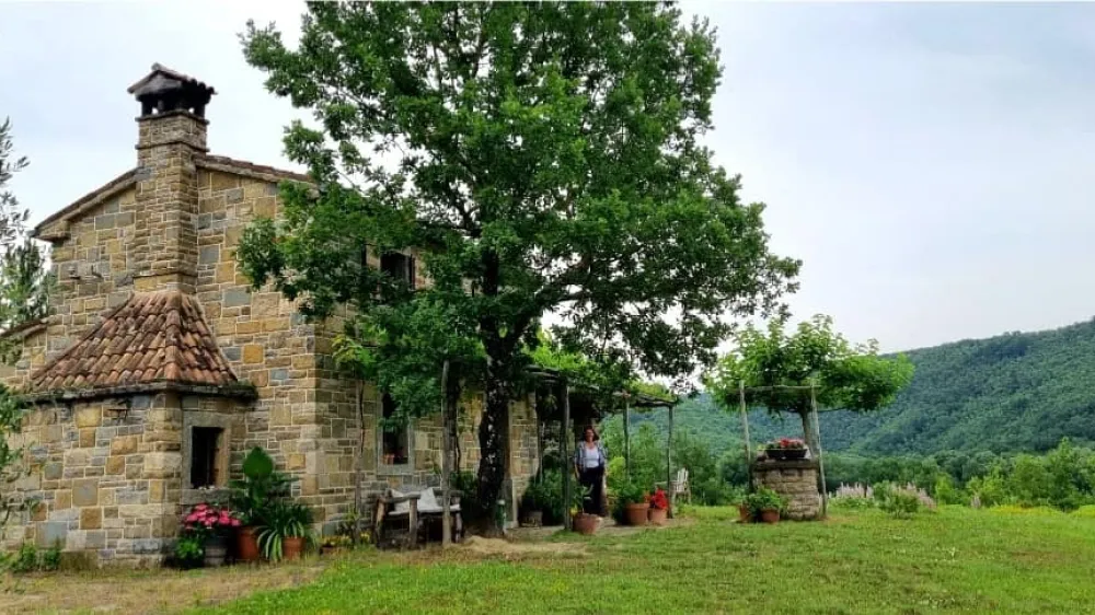 Zeli&scaron;čna posest Bonistra - z gostiteljico Jano se boste podali med cvetočo in di&scaron;ečo lavando. Skupaj bomo nabrali cvetove za destilacijo ter o njej spoznali pridobivanje hidrolatov in eteričnih olj. Obisk vas ne bo pustil ravnodu&scaron;ne. Tudi polje smilja že počasi odpira svoje popke.