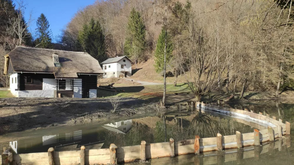 Cona brez rib v ribniku Trebče za varno mrestenje dvoživk.&nbsp;