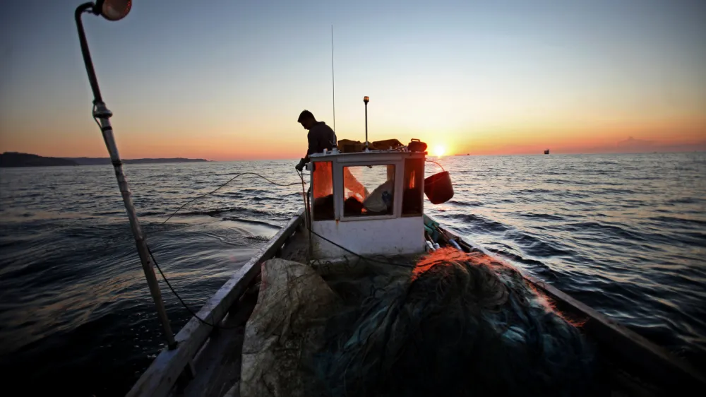 - ribolov - ribiči - ulov v slovenskem morju in prodaja na borzi v Trstu///FOTO: Matej Pov&scaron;eOPOMBA: ZA OBJAVO V PRILOGI &ndash; DNEVNIKOV OBJEKTIV - REPORTAŽA 2011