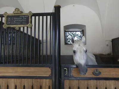 - 27.09.2023 &ndash; Kobilarna Lipica, dom lipicancev in največja kobilarna z lipicanci na svetu. //FOTO: Luka Cjuha