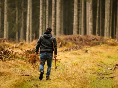 Pokljuka.Delovna akcija druzbe Slovenski drzavni gozdovi, Olimpijskega komiteja Slovenije in Pivovarne Lasko, v okviru katere so ob zakljucku projekta Misija: Triglavski ledenik v Peking posadili 1.450 sadik avtohtonih drevesnih vrst.