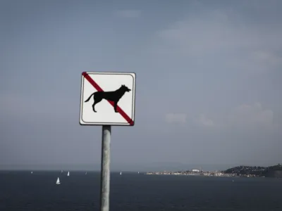 tabla - prepovedano za pse - pes- Piran 2014 - Piranski zaliv - 19 km2 velik zaliv v severnem delu Jadranskega morja, del Trža&scaron;kega zaliva, ki je na severni strani omejen z Rtom Madona, na južni pa s savudrijsklim rtom. Piranski zaliv si delita Slovenija in Hrva&scaron;ka; meja na morju &scaron;e ni določena in je od samostojnosti Slovenije v letu 1991 predmet sporov. Arbitražni sporazum, arbitraža.//FOTO: Luka Cjuha.