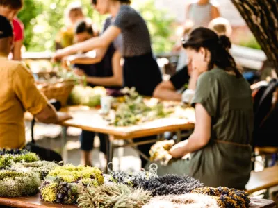 Poletni festival v &Scaron;tanjelu 2024