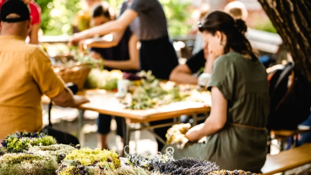 Poletni festival v &Scaron;tanjelu 2024