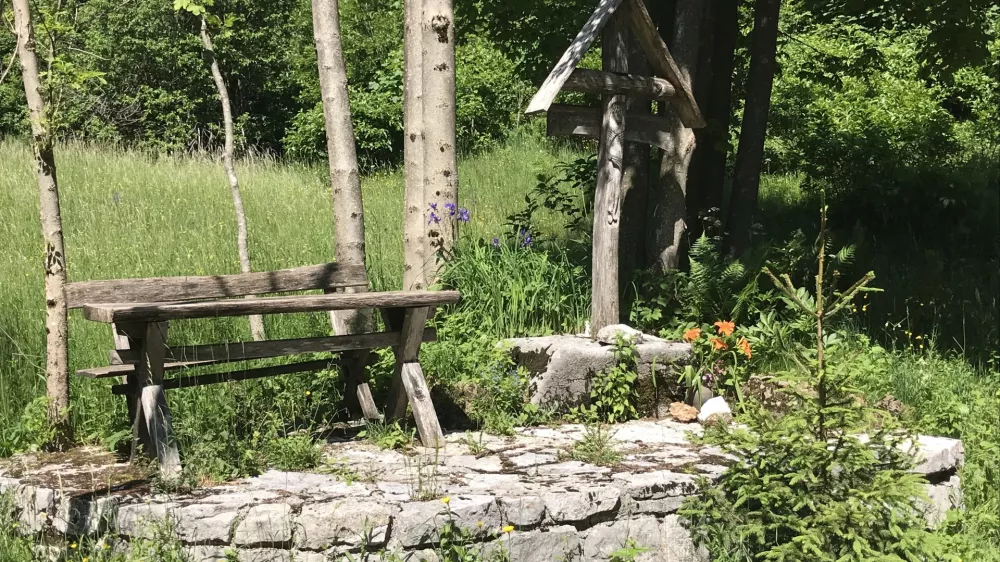 &Scaron;pičasti vrh