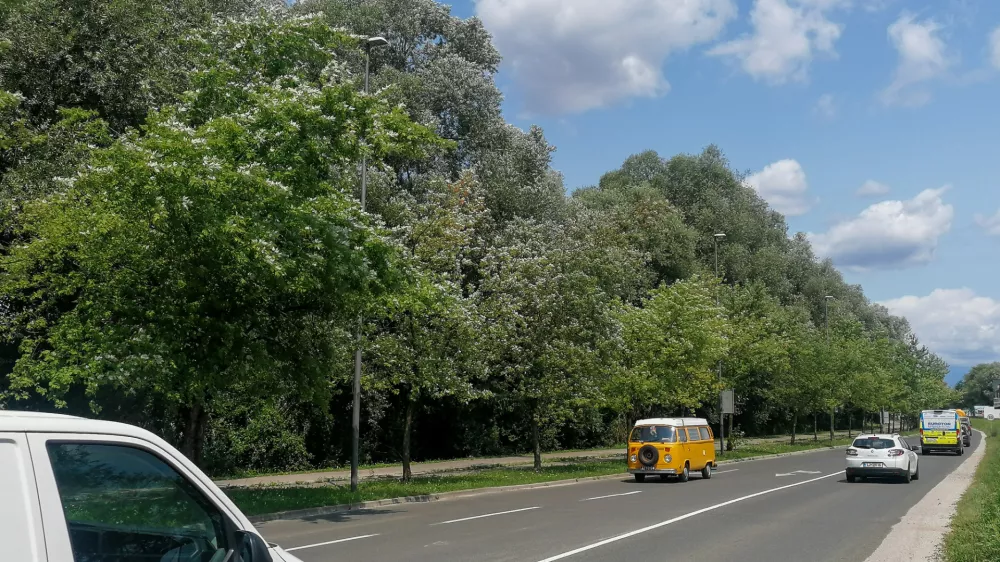 Parcele, ki jih je včeraj na dražbi kupila družba NG Projekt, nimajo urejenega dostopa. Prostorski načrt pa kaže, da se bo nekoč v prihodnosti dostopna cesta do njih odcepila z Barjanske ceste (na fotografiji).

&nbsp;

&nbsp;