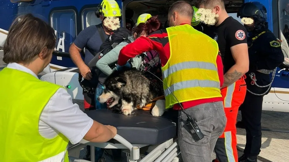 Ekipa HNMP iz Brnika je po&scaron;kodovano psičko prepeljala do heliporta ljubljanskega UKCF. F Facebook/kmz.si