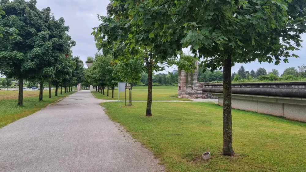 Po&scaron;kodovane tablice z imeni donatorjev dreves

&nbsp;

&nbsp;