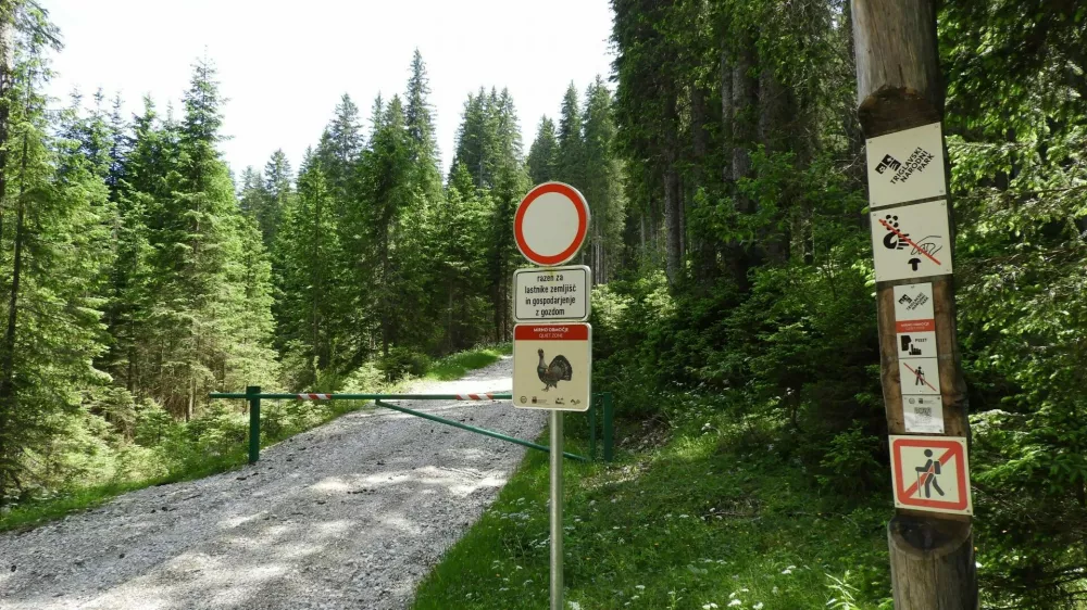 Zapornica na Pokljuki in table opozarjajo, da smo pri&scaron;li na mirno območje. Ker je na Mesnovcu največja koncentracija divjih petelinov na Pokljuki, je gibanje za obiskovalce prepovedano. V projektu VrH Julijcev je bilo postavljenih 25 zapornic.