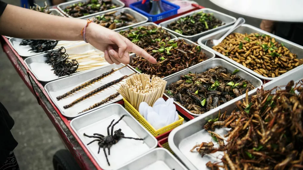 Closeup of hand ordering cooked insects in Thailand street food stall