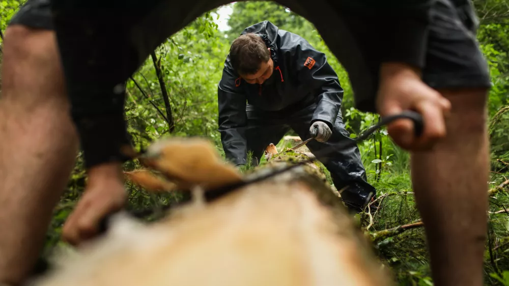 Mlaji 2024. OPOMBA ZA OBJAVO V OBJEKTIVU!!!//FOTO: Bojan Velikonja