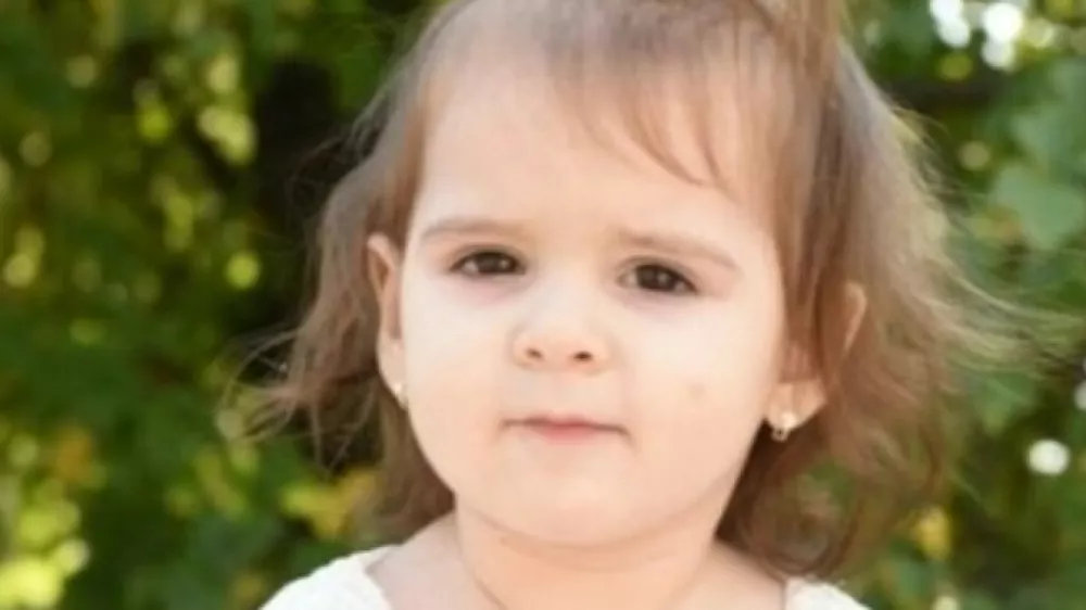 pogre&scaron;ana deklia Danka Ilić