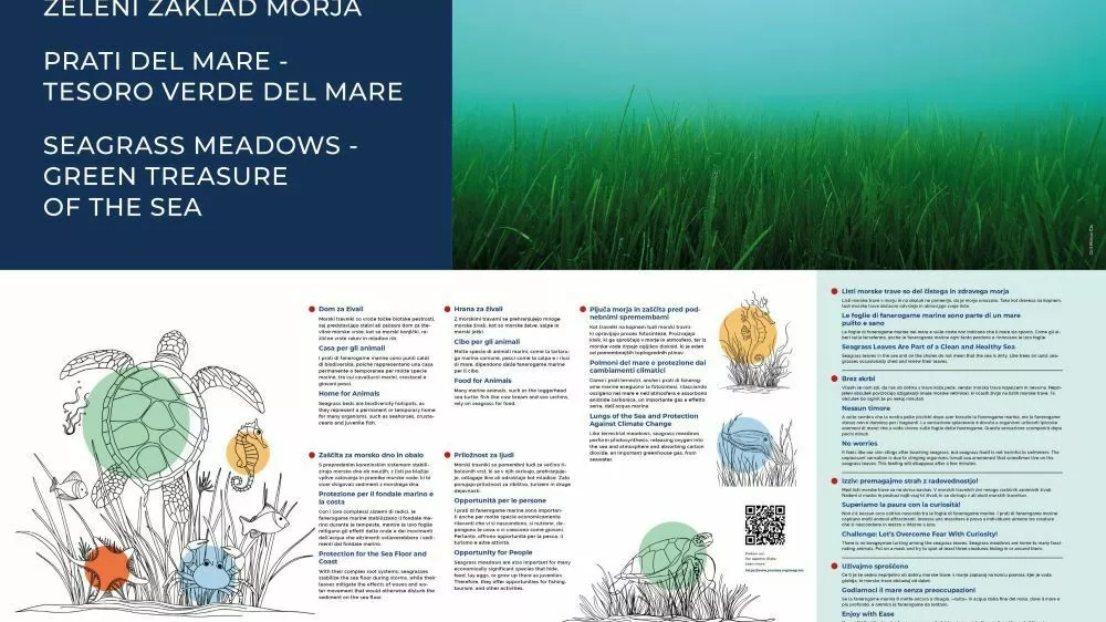 Kopalce na plaži Portorož izobražujejo o pomenu morskih travnikov. F Okolje Piran