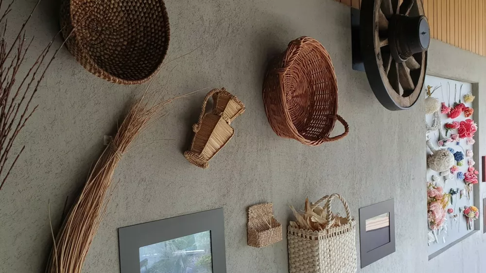 Expano Murska Sobota / Foto: Mojca Marot