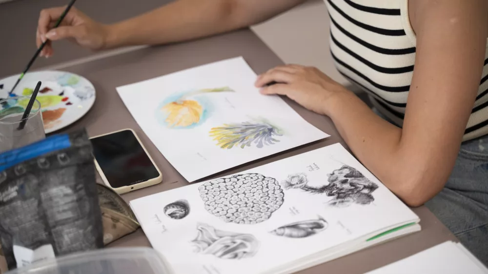 IzobrazbaUčenjeUstvarjalnost27.07.2024 - Mednarodna poletna &scaron;ola znanstvene ilustracije za slabovidneFOTO: Nik Erik Neubauer