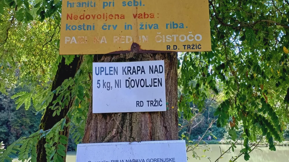 Ribolov je dovoljen od zore do mraka na &scaron;portni način: z uporabo ene palice, enega trnka in ene vabe.&nbsp;Foto:&nbsp;Tina Jereb