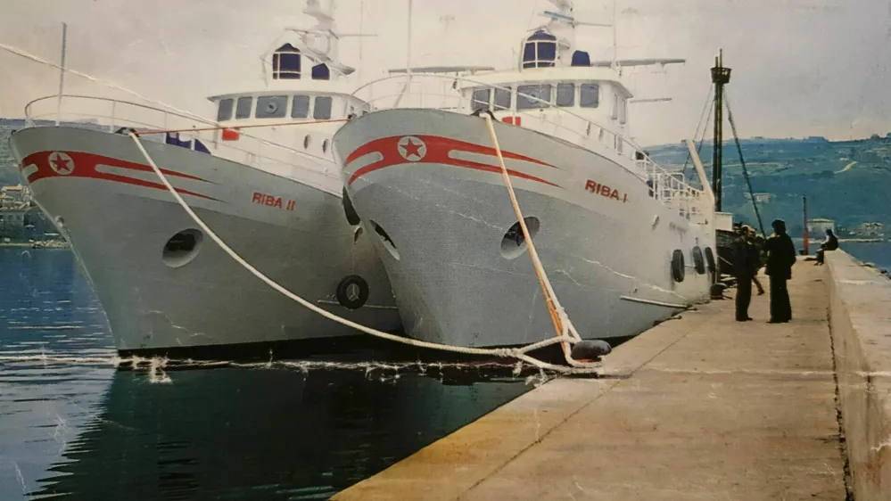 fdfd dfdfd / Foto: Dfdf