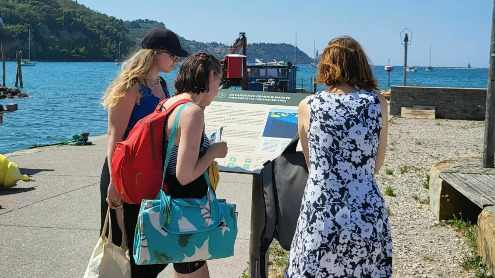 obiskovalci krajinski park strunjan / Foto: Katja Gle&scaron;čič 