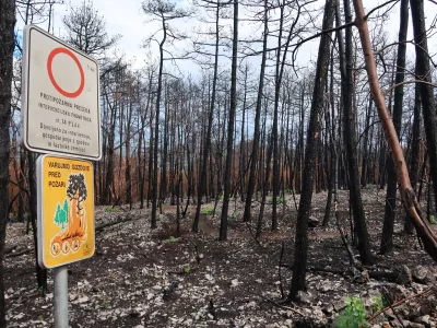 Po požaru na Krasu, pogori&scaron;če, požar, september 2022