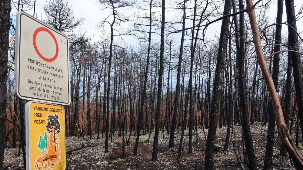 Po požaru na Krasu, pogori&scaron;če, požar, september 2022