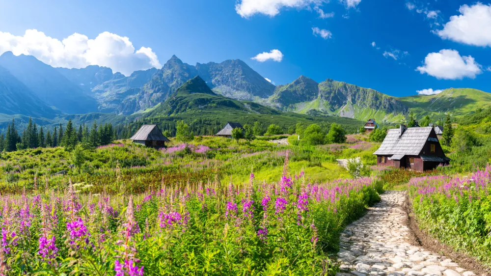 amazing landscape of Tatra Mountains in Poland during summer