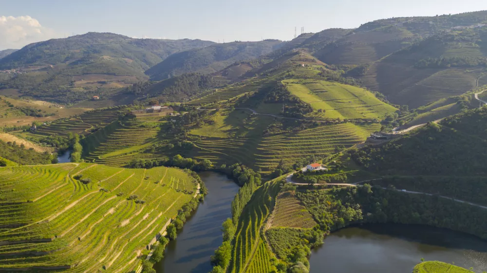 Douro river wine valley region drone aerial view, in Portugal