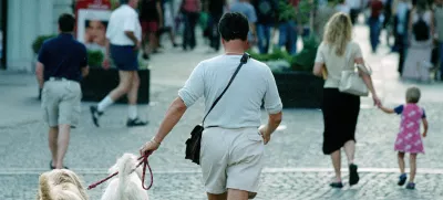 - sprehod - sprehajanje psov, pes