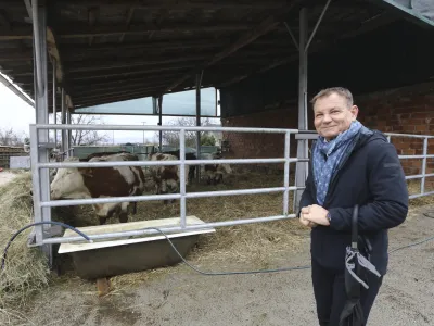 Odvetnik Možganovih Franci Matoz je po spodletelem poskusu poravnave z državnim odvetni&scaron;tvom napovedal sodno bitko za poplačilo &scaron;kode, ki naj bi jo zaradi odvzema živali utrpela njegova stranka. FOTO: Luka Cjuha&nbsp;