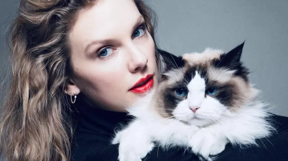 Taylor Swift je svojo objavo podpore Kamali Harris pospremila s pripisom: &raquo;Z ljubeznijo in upanjem, Taylor Swift &ndash; mačja gospa brez otrok.&laquo; Foto: instagram/taylorswift