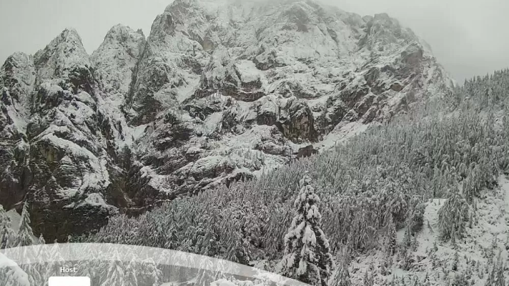 Vr&scaron;čič sneg Foto: Spletna kamera Erjavčeva koča/zajem zaslona