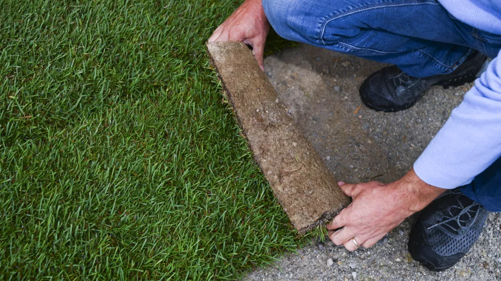 12.09.2024 Vilar d.o.o, strokovnjaki za travo, Vir pri Domžalah Foto: Nik Erik Neubauer