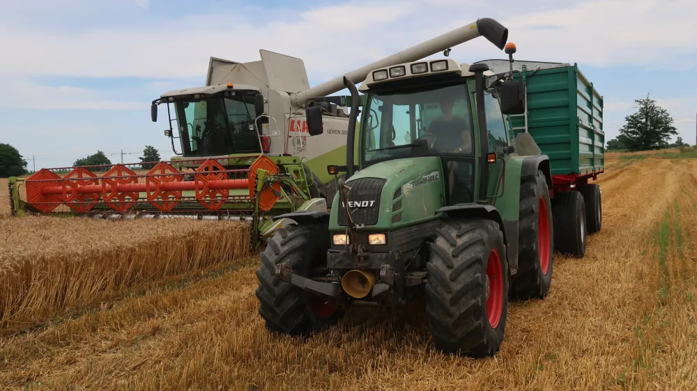 Pomurje, Rakičan, Panvita, žetev, p&scaron;enica, kombajn. Foto. Tatjana Pihlar 