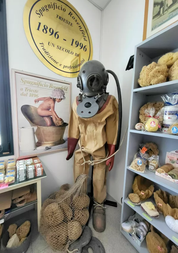 Spužvarstvo Rosenfeld Milje morska spužva / Foto: Katja Gle&scaron;čič 