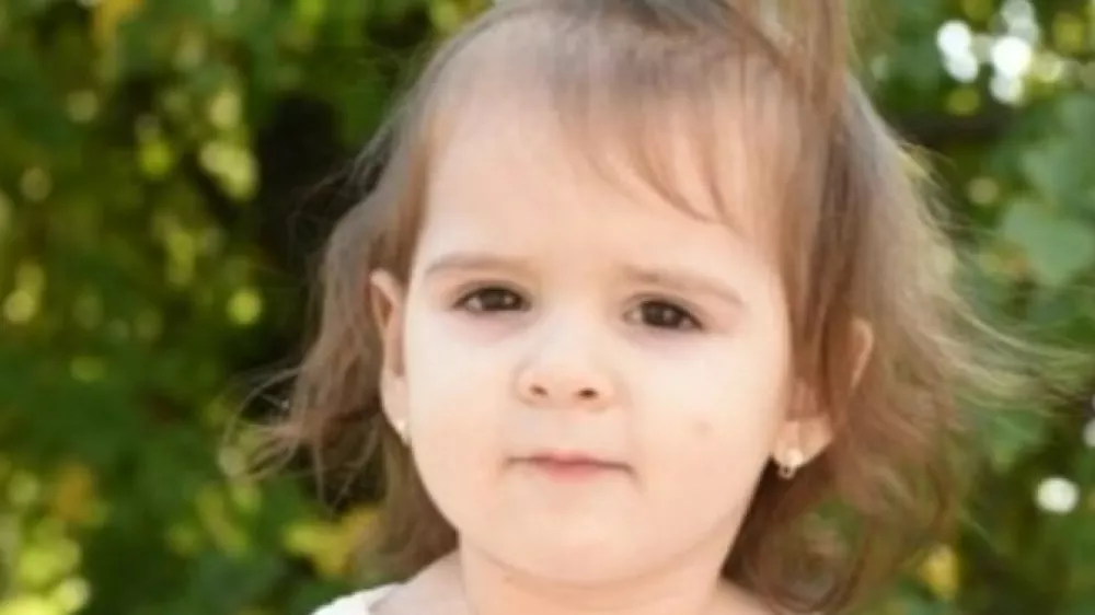 pogre&scaron;ana deklia Danka Ilić