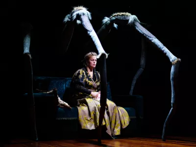 Kot otvoritveno predstavo so v sredo v Linhartovi dvorani Cankarjevega doma premierno uprizorili Hi&scaron;o za lutke po predlogi Henrika Ibsna, v režiji Yngvild Aspeli, v glavni vlogi je nastopila prvakinja ansambla LGL Maja Kun&scaron;ič. Foto: Johan Karlsson