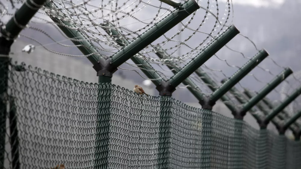 - ilustrativna fotografija - prostost - žična ograja - ptica - svoboda - zapor- Zavod za prestajanje kazni zapora Dob v Slovenski vasi pri Mirni na Dolenjskem 2013 - največji slovenski zapor - mo&scaron;ki obsojenci prestajajo kazen dalj&scaron;o od enega leta in pol do 30 let zaporne kazni - zaprti oddelek ima kapaciteto 233, polodprti 63, odprti pa 17 obsojencev//FOTO: Luka Cjuha