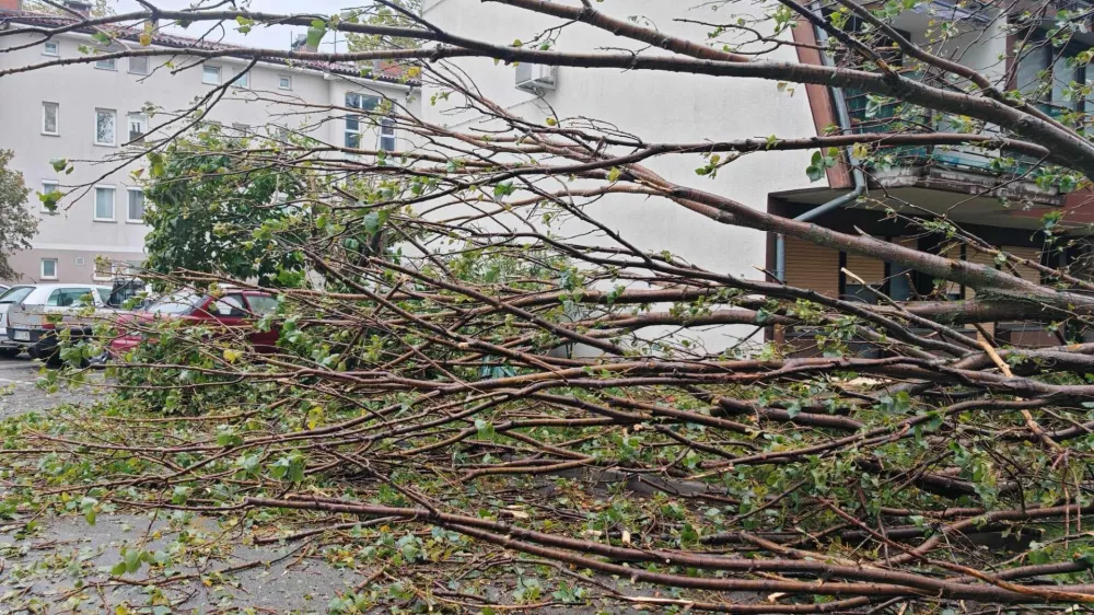 Ajdov&scaron;čina neurje Foto: Neurje.si/Martin Vidmar/Facebook