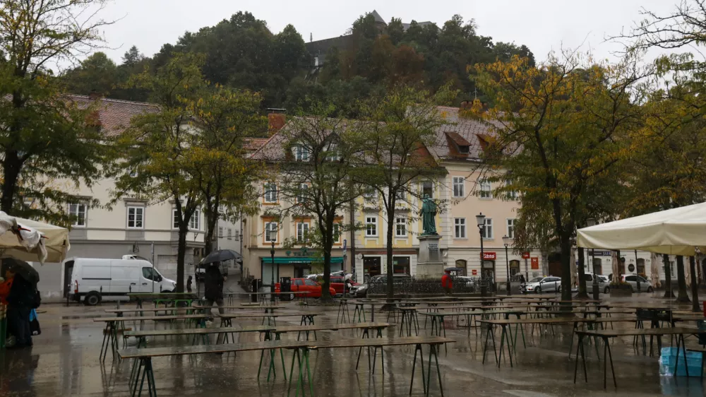 Ljubljanska občina bo predstavila, kak&scaron;ne načrte ima z drevesi na zahodnem pobočju grajskega griča. Foto: Luka Cjuha