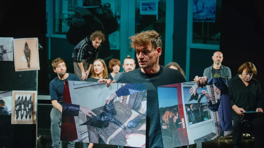 Jaza, Slovensko mladinsko gledali&scaron;če 2024, režija Žiga Divjak