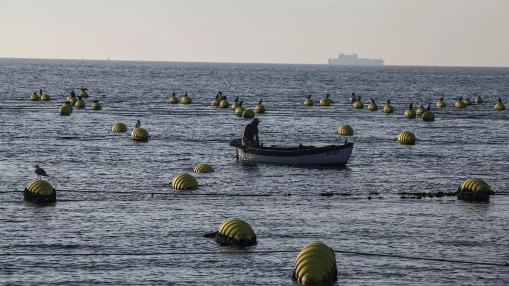 Strunjan - 08.09.2014 - IZOLA - Ribi&scaron;tvo &Scaron;koljkarstvo Mitja Petrič s.p. - gojenje &scaron;koljk - &scaron;koljke klapavice in ladinke, nabiranje - &scaron;koljči&scaron;če ///FOTO: Luka Cjuha OPOMBA: ZA OBJAVO V PRILOGI &ndash; DNEVNIKOV OBJEKTIV - REPORTAŽA 2014