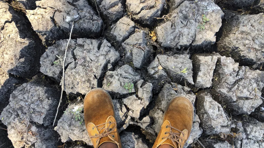 File &mdash; A man stands in a sun-baked dried up watering hole in Mana Pools National Park, Zimbabwe. Sunday, Oct. 27, 2019, as the United Nations' food agency says months of drought in southern Africa, triggered by the El Nino weather phenomenon, has had a devastating impact on more than 27 million people and caused the region's worst hunger crisis in decades..(AP Photo/Tsvangirayi Mukwazhi/File) / Foto: Tsvangirayi Mukwazhi