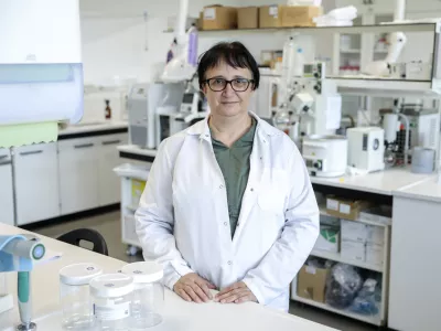 - 17.10.2024 - Erika Be&scaron;ter - strokovnjakinja za oljčna olja in ostala olja. - Laboratorij In&scaron;tituta za oljkarstvo v Izoli //FOTO: Jaka Gasar