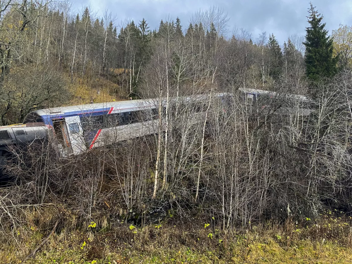 24 October 2024, Norway, Finneidfjord: A derailed train seen between the trees after derailing on the Finneidfjord in Nordland. Photo: Jan Kenneth Transeth/NTB/dpa