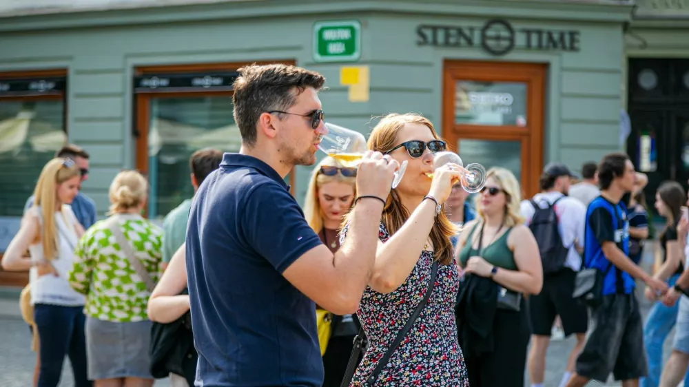 Na vinski poti, ki se tokrat razprostira med &scaron;tevilnimi stojnicami na Pre&scaron;ernovem trgu, Mestnem trgu, Stritarjevi ulici in Cankarjevem nabrežju bo na voljo veliko domačih in tujih vrhunskih vinarjev z več kot 400 vinskimi vzorci in &scaron;tevilni kulinariki. 