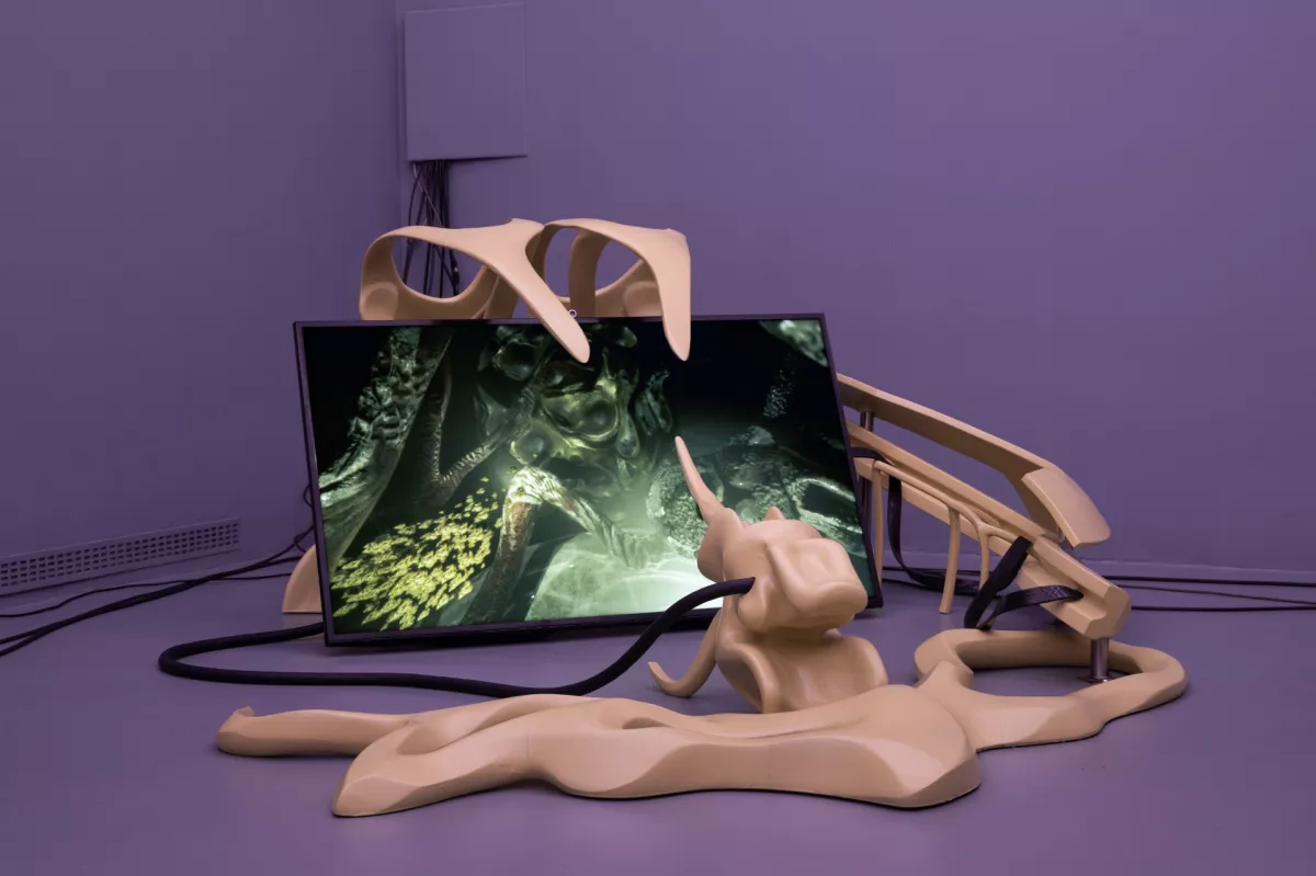 Vid Kopriv&scaron;ek: Swarm Entry