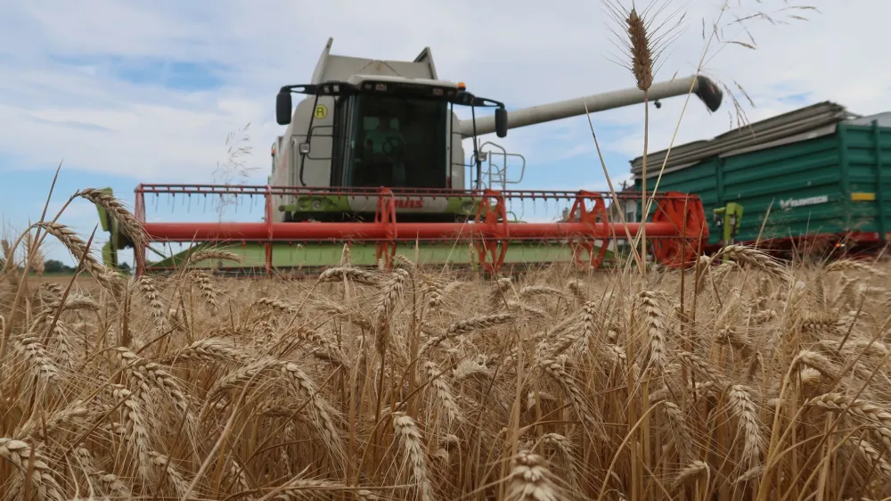 Pridelovalci p&scaron;enice se spra&scaron;ujejo, kje je obljubljena državna pomoč zaradi lanske izgube, ki so jo pridelali zaradi visokih cen energentov, mineralnih gnojil in za&scaron;čitnih sredstev za rastline ter nizkih odkupnih cen pridelka. Foto: Tatjana Pihlar&nbsp;
