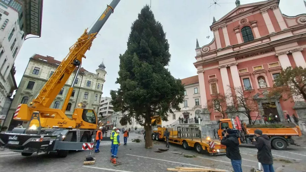 Postavljanje smreke na Pre&scaron;ernovem trgu. Foto: Vesna Levičnik