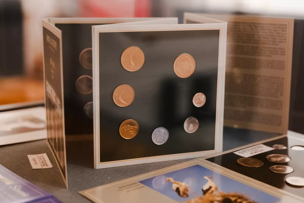 Tudi ponarejene kovance so razstavili.&nbsp;/ Foto: Kolja Kragelj