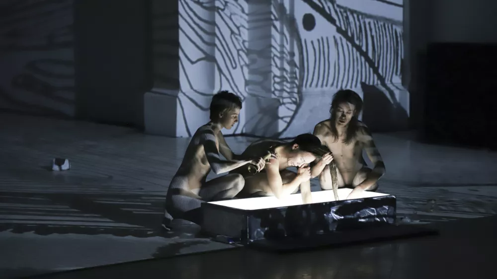 Tatiana Kocmur: Meso