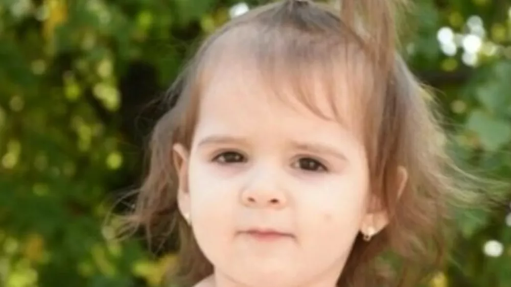 pogre&scaron;ana deklia Danka Ilić